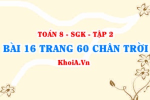 Bài 16 trang 60 Toán 8 Chân trời sáng tạo Tập 2